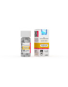 Hilma Biocare Fat Burners | Buy Weight Loss & Cutting Products Online